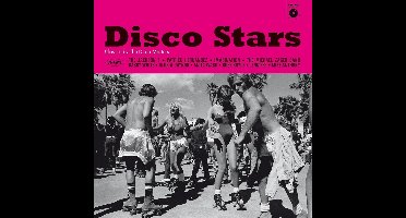 Various Artists - Disco Stars (Classics By The Disco Masters) (LP)