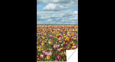 Poster Tulpen - Kleuren - Wolken - 20x30 cm