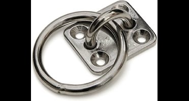 Dulimex Aanlegringen RVS AISI 316 - Maat: 8mm