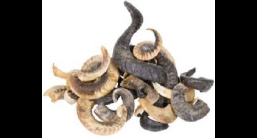 Animalking Kauwsnack Lamshoorn voor Hond - L tot 150 Gram - Gewei Hond - Hoorn Hond - Hondensnack