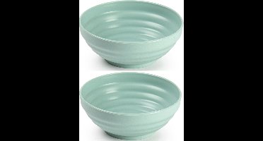 Plasticforte - Kommetjes/Schaaltjes - 8x - kunststof - D13x5 cm - mintgroen