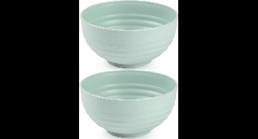 Plasticforte Kommetjes/schaaltjes - 4x - dessert/ontbijt - kunststof - D13 cm - mintgroen