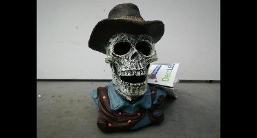 Superfish skull cowboy