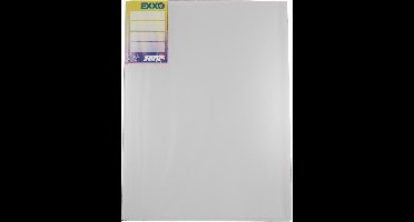 EXXO-HFP #13161 - COMPACT A4 Show Album 10 Tassen - Wit - 2 Stuks