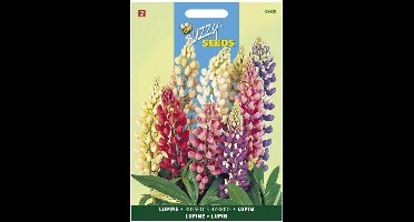 Lupinus polyphyllus Russells Hybrids mix