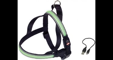 Nobby Lichtgevende Tuig - Hond - Groen - Buikband: 80 tot 100 cm - Borstband: 56 cm