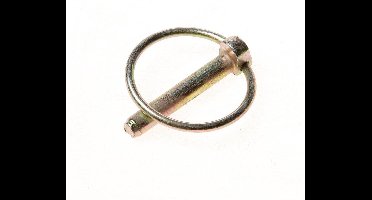 Dulimex borg pen verzinkt 8mm 9.73033008