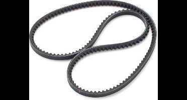 VETUS STM1607 V-Snaar voor Dynamo P4.21/P4.25