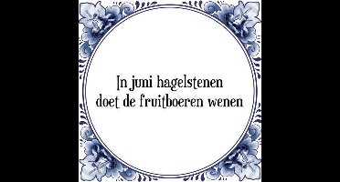 Tegeltje met Spreuk (Tegeltjeswijsheid): In juni hagelstenen doet de fruitboeren wenen + Kado verpakking & Plakhanger