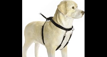 Beeztees Gentle Walker - Hondentuig - Zwart - M