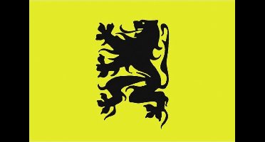 Vlaanderen Vlag 20X30