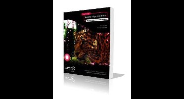 Foundation Adobe Edge Animate: For Html5, Css3, And Javascri