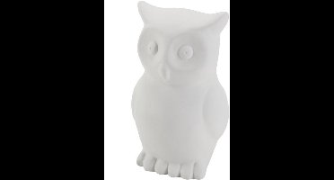 Creativ Company Teracotta Spaarpot Uil 11x7x6 cm 6 stuks