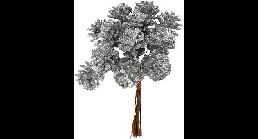 CC Kunst Denneappels