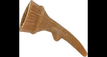 Whimzees Antler L - Kauwsnacks - Hond - 12,5cm - 22st (doos)