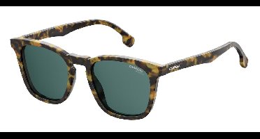 CARRERA 143/S Zonnebril Havana