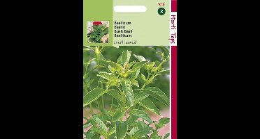 Hortitops Zaden - Basilicum Fijne