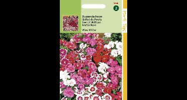 Hortitops Zaden - Dianthus Barbatus Wee Willie Gemengd
