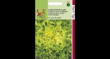 Hortitops Zaden - Krulandijvie Fijne Krul Geel (Altijd Witte)