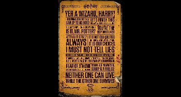 Harry Potter Poster - Film - Quotes - Yer a Wizard - Rowling - 61 x 91.5 cm