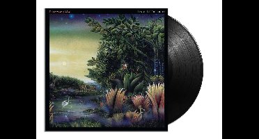 Fleetwood Max - Tango in the Night (LP)