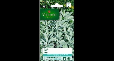 Salie - Salvia officinalis