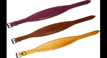 Karlie Halsband Ventus - Geel - 40 cmx55 mm