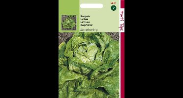 Hortitops Zaden - Kropsla Zomerkoning(Kagraner) - 3