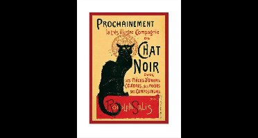 Pyramid Poster - Chat - 80 X 60 Cm - Multicolor