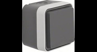 Hager Berker W.1 Wandcontactdoos (WCD Schakelmateriaal) - 47633505 - E35PY