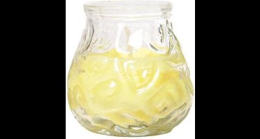 Ct Mini Lowboy Citronella D7.5xh7.5cm17uur (set van 15)