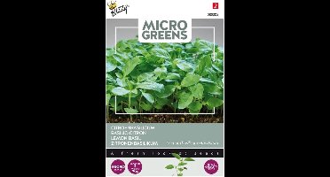 Buzzy® Microgreens, Citroenbasilicum