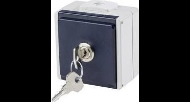 AS Schwabe 62461 Stopcontact (opbouw) Afsluitbaar IP54 Grijs