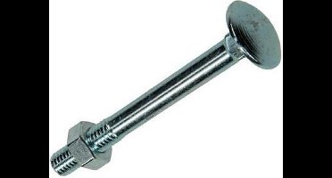 8X SAM Houtbout + moer verzinkt  M6x30mm D1 816320