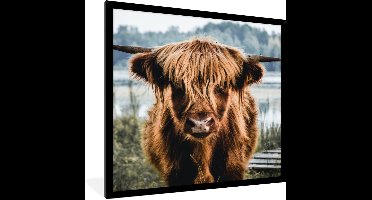 PosterMonkey - Poster - Fotolijst - Schotse hooglander - Dieren - Koe - Natuur - Water - Kader - 40x40 cm - Poster Schotse hooglander - Kamer decoratie - Poster lijst - Poster dieren