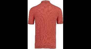 Baileys poloshirt korte mouw oranje