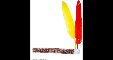 Hoofdband indiaan met 2 veren