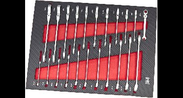 HBM 22 Delige Ring Ratel Steeksleutelset in Carbon Foam inlay voor Gereedschapswagen