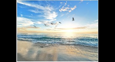 Poster – Blauwe Zee met Zon en Vogels - 40x30cm Foto op Posterpapier