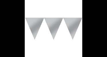 Amscan Vlaggenlijn 450 Cm Zilver