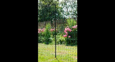 AKO Paaltje zwart v. Kippennet enkele pen