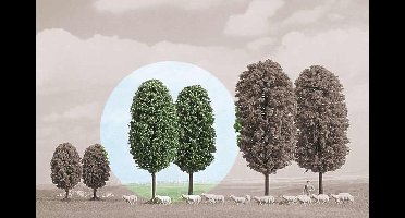 Busch - 2 Laubbäume, 80mm H0 (Bu6052) - modelbouwsets, hobbybouwspeelgoed voor kinderen, modelverf en accessoires