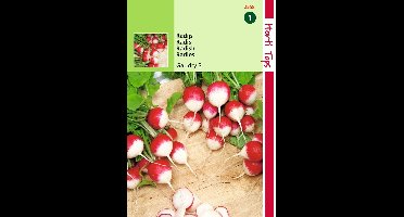 2 stuks Hortitops Radijs Gaudry 3, Ronde Rode Witpunt