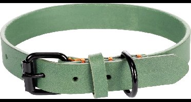 Hond Halsband Leano Groen M / L 38-48cm 25mm
