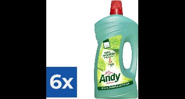 Andy Allesreiniger Vertrouwd 1 L - Voordeelverpakking 6 stuks