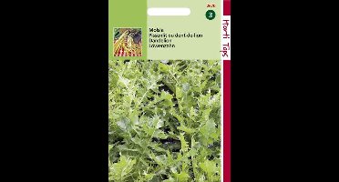 Hortitops Zaden - Molsla Breedbladig