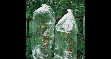 Tomatenhoezen - 65 cm x 10 m