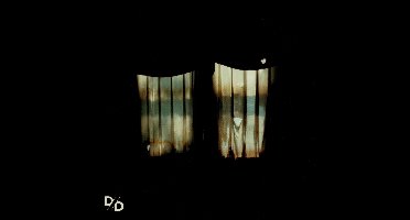 Divide And Dissolve - Insatiable (CD)