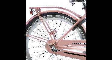 Alpina Achterdrager 24 Clubb desert pink matt