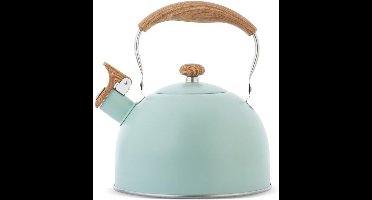 ApexArte® Fluitketels Voor op Gas - Waterkoker - Heetwaterdispenser - Camping - Groen